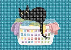 Cat On Laundry