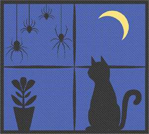 image of Cat Spiders Window