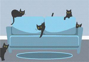 image of Cats On The Couch