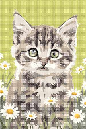 Daisies Cat