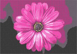 image of I Love Hot Pink Flower