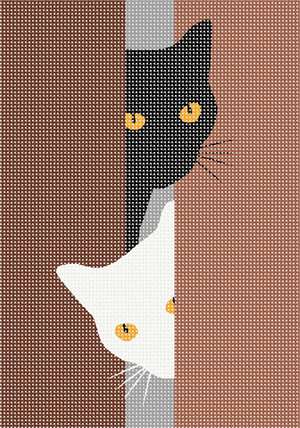 image of Knock Knock