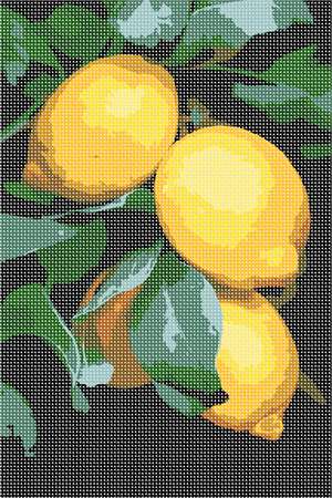 image of Lemons On Branch