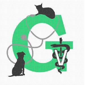 image of Letter G Vet
