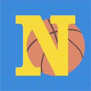 image of Letter N In Basketball