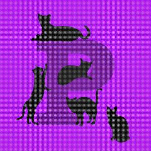 Letter P Cats Galore