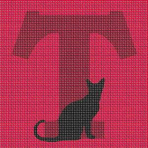 Letter T Black Cat