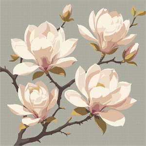 Magnolia Branches