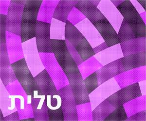 image of Tallit Paths Purples