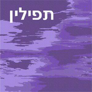 image of Tefillin Horizon Purples