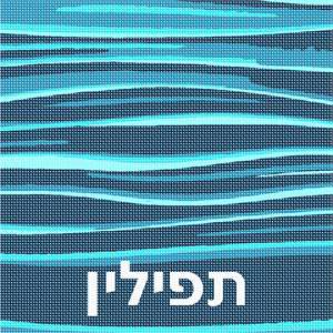 image of Tefillin Ripples Teal