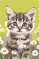 Daisies Cat