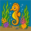 Seahorse Ocean Floor