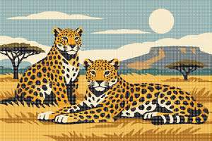 Two Leopards
