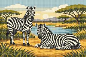 Two Zebras