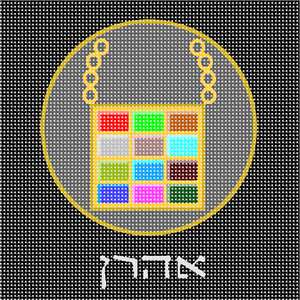 image of Ushpizin Aaron