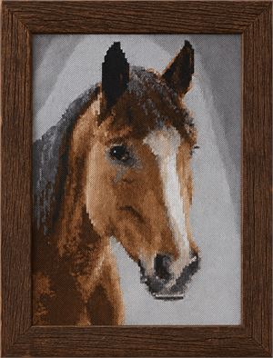 Photograph of product.