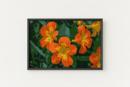 Orange Flowers