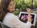 Open Orchids