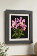 Open Orchids