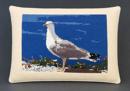 Seagull