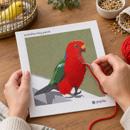Australian King Parrot
