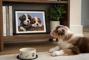 Dogs In Basket