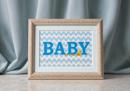 Baby Boy Ducks Chevron