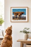 Dogs At The Ocean