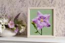 Single Bellflower