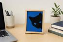 Cat Around Corner Blues