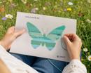 Ombre Butterfly Teal