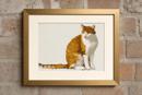 Cat Posing