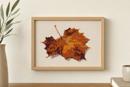 Fallen Leaf