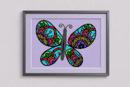 Butterfly Colors