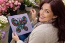 Butterfly Colors