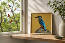 Kingfisher Bird