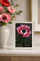 Ombre Anemone