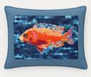 Fairy Wrasse Fish