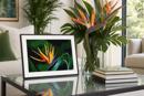 Bird Of Paradise