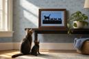 Cats In Line