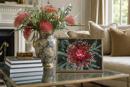 Grevillea 