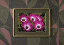 Five Flowers