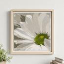 Abstract White Lily