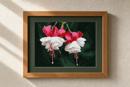 Fuchsia (Large)