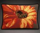 Gerber Daisy