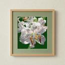 Lilies And Light (Large)
