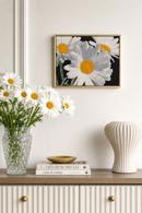 Daisies