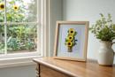 Three Sunflowers