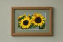 Sunflowers Side By Side